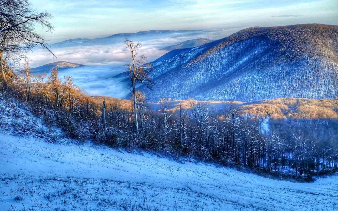 Miért vonz minket ma is a havas erdő?