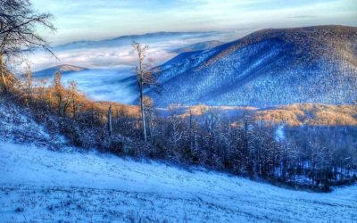 Miért vonz minket ma is a havas erdő?