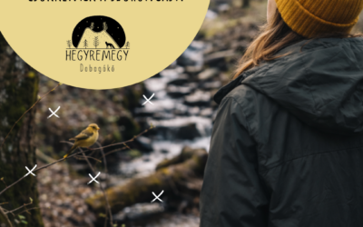 Tudtad, hogy a természet hangjai csökkentik a szorongást?