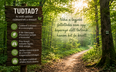 Tudtad? Az erdő valóban csökkentheti a stresszt